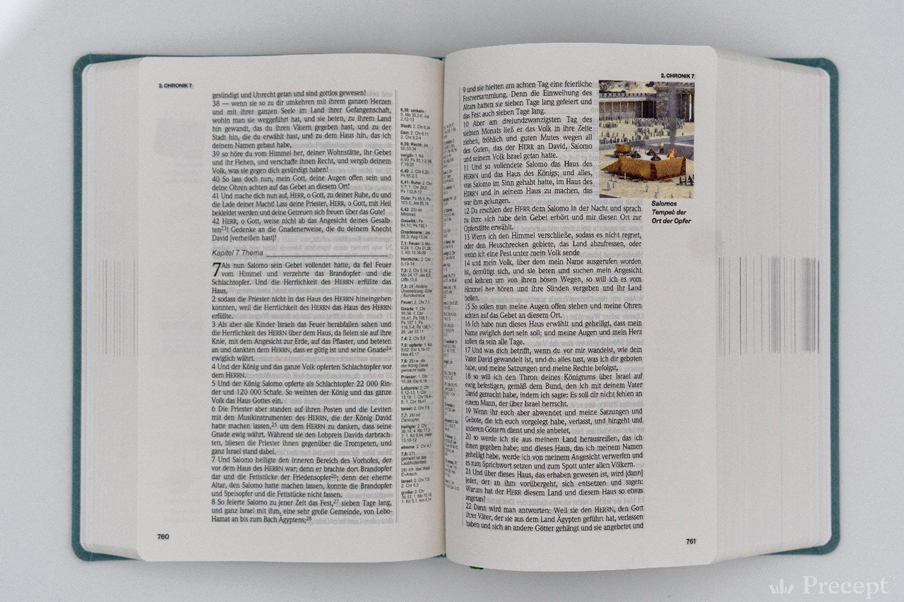 Die Neue Induktive Studienbibel - Schlachter