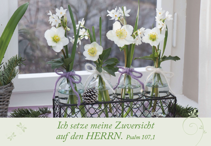 Neujahrslose Garten -  (9,8 x 6,8 cm)