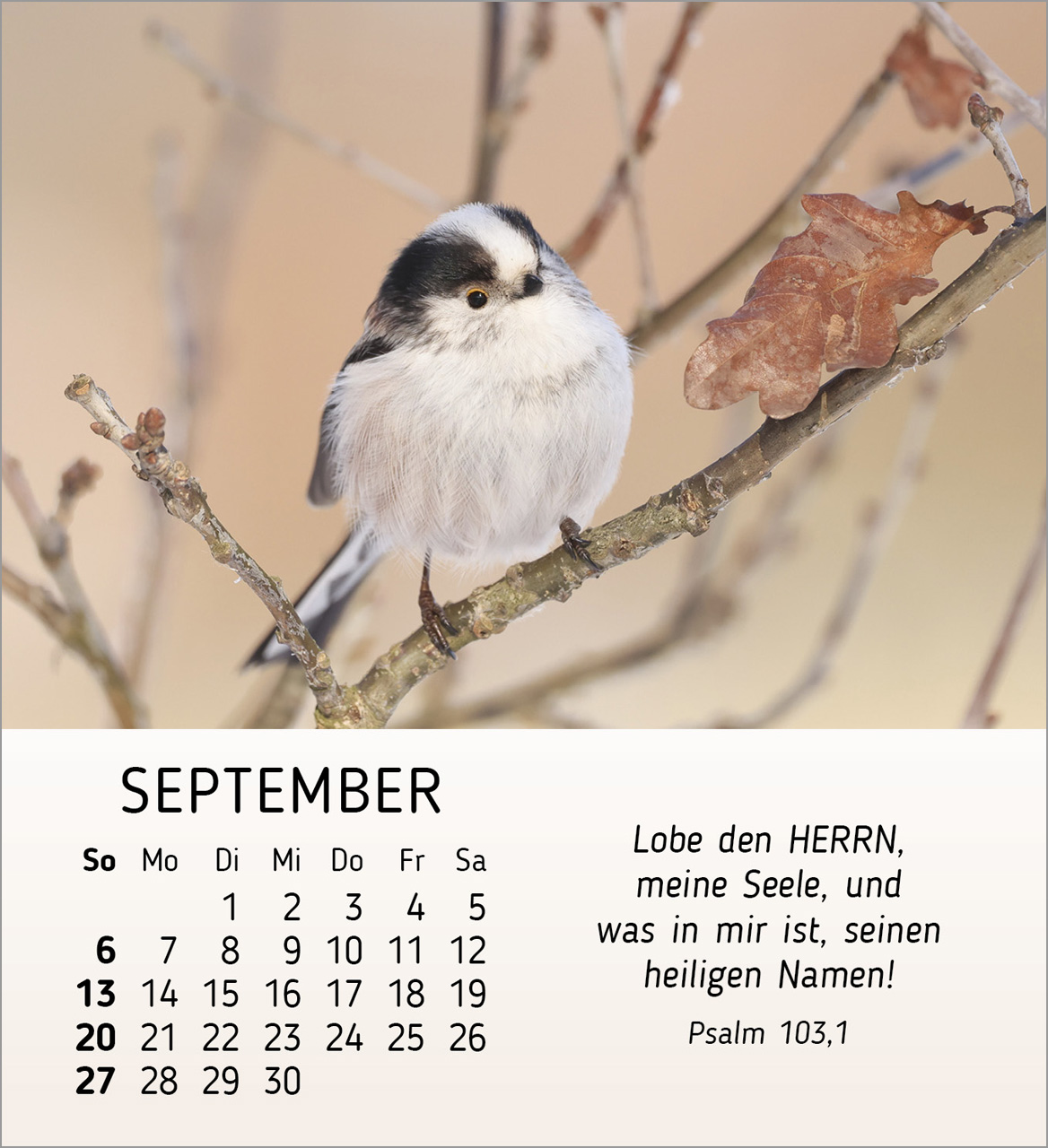 Stille Begegnungen Tischkalender 2026