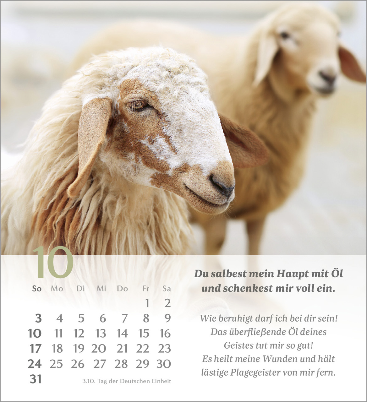 Psalm 23 – 2027 – Tischkalender