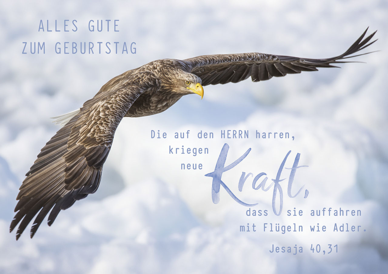 Faltkarte neue Kraft