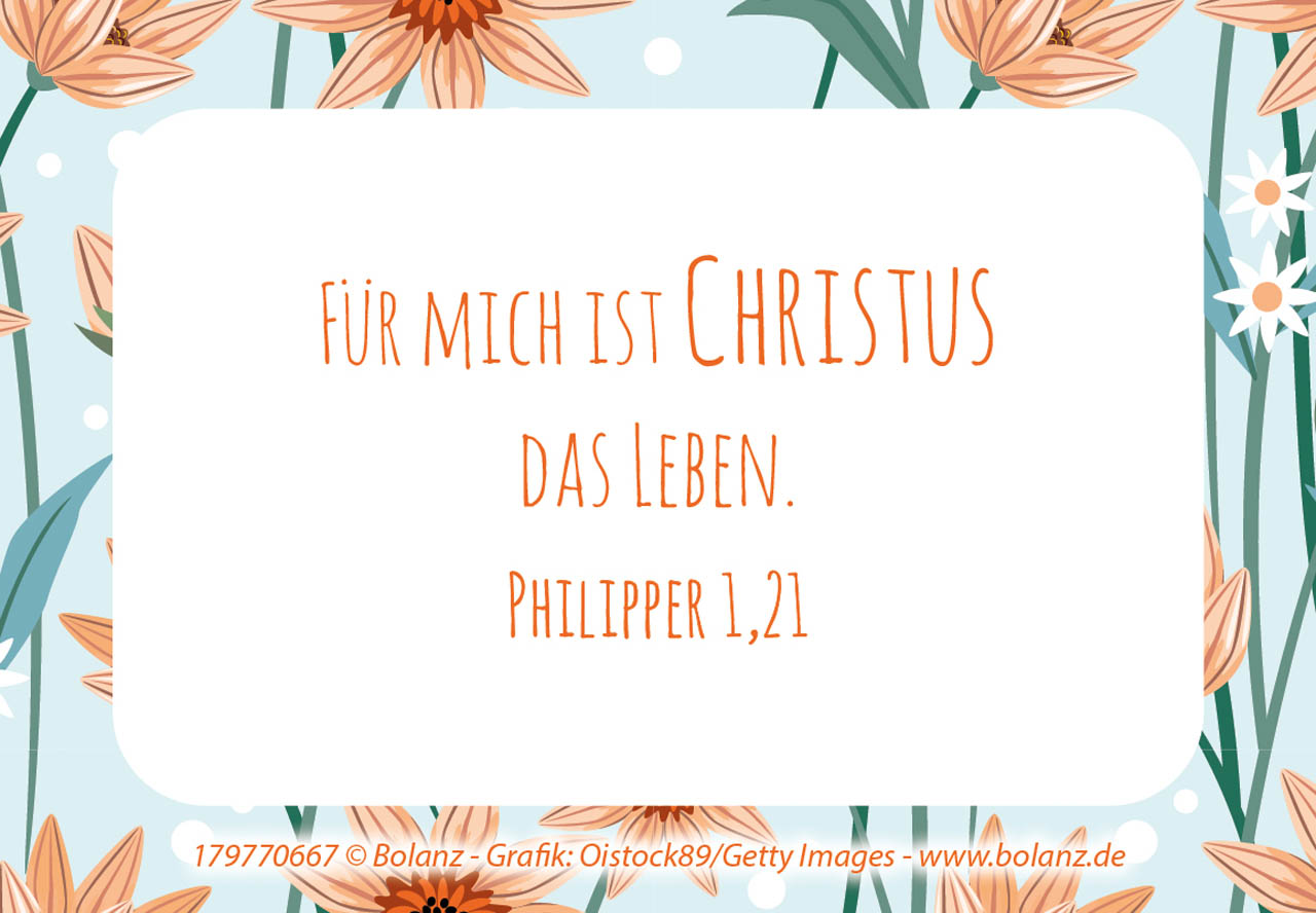 Neujahrslose Pure Lebensfreude Neujahrslose Pure Lebensfreude