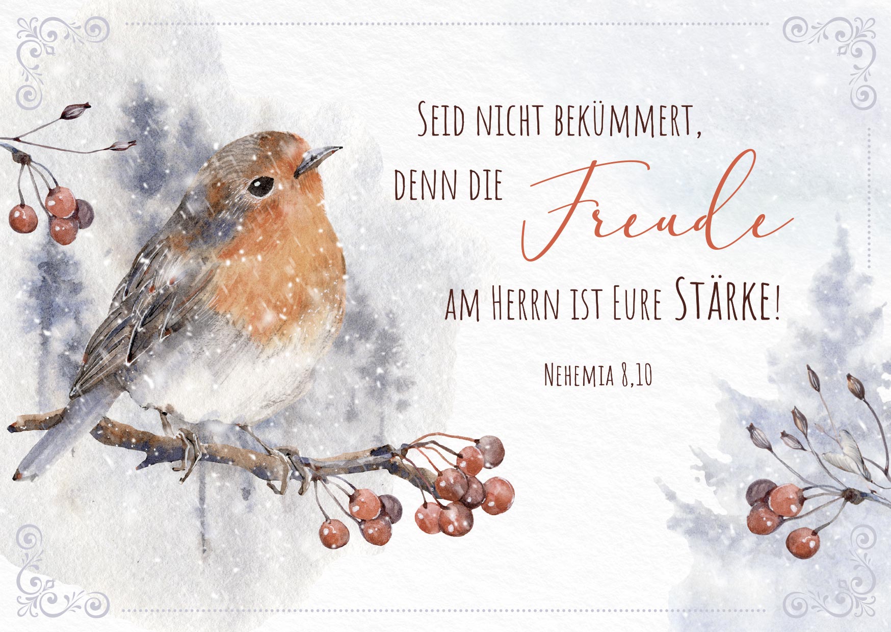 Postkartenbox Frohe Weihnachtszeit -  Anlass: Weihnachten (15 x 11 cm)