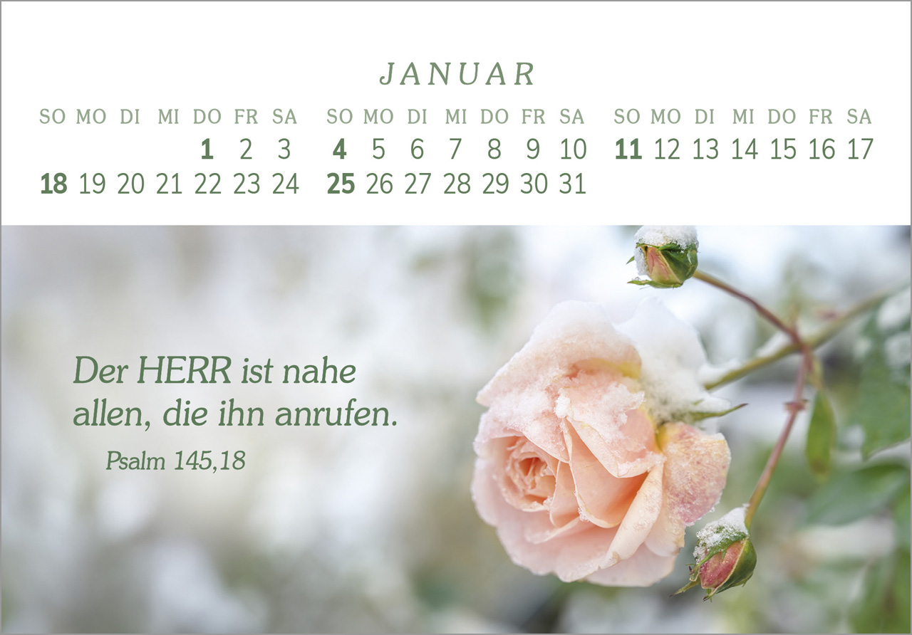 Das Geschenk der Freude 2026