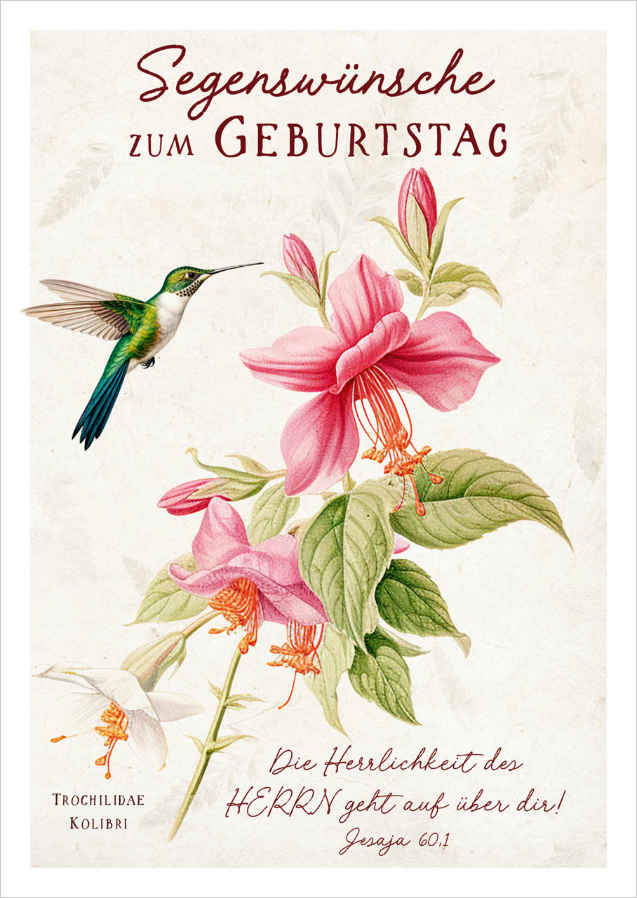 Postkarte farbenfroher Kolibri -  Anlass: Geburtstag (10,5 x 14,8 cm)