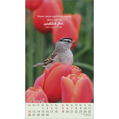 Beflügelt und geborgen 2026 -  (12 x 21 cm)