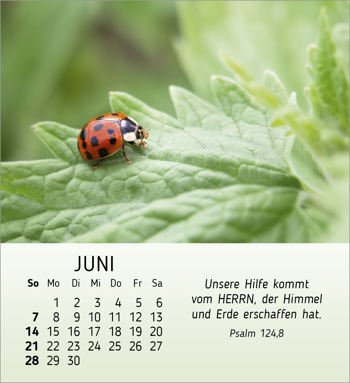 Stille Begegnungen Tischkalender 2026