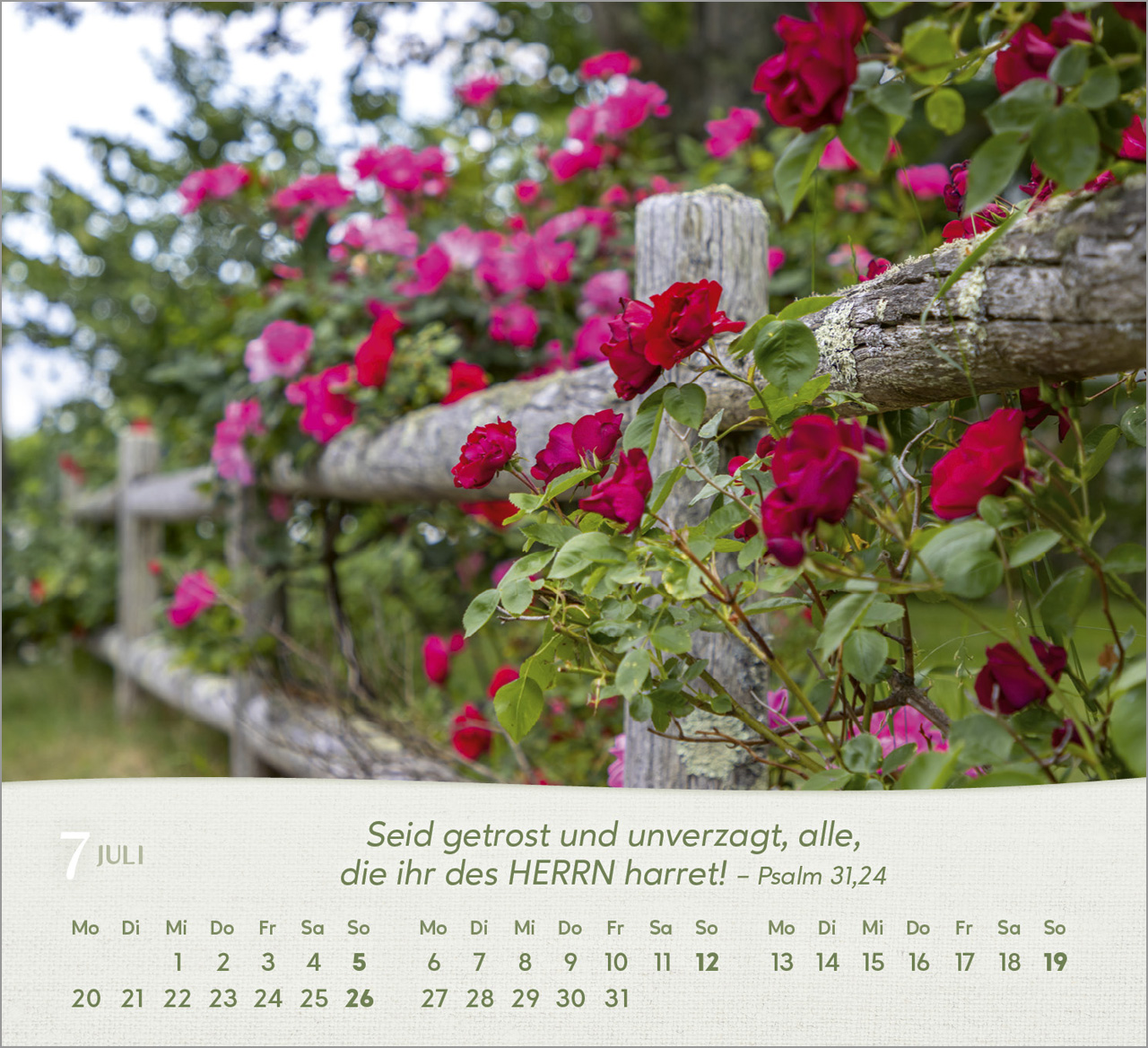 Rosen Tischkalender 2026