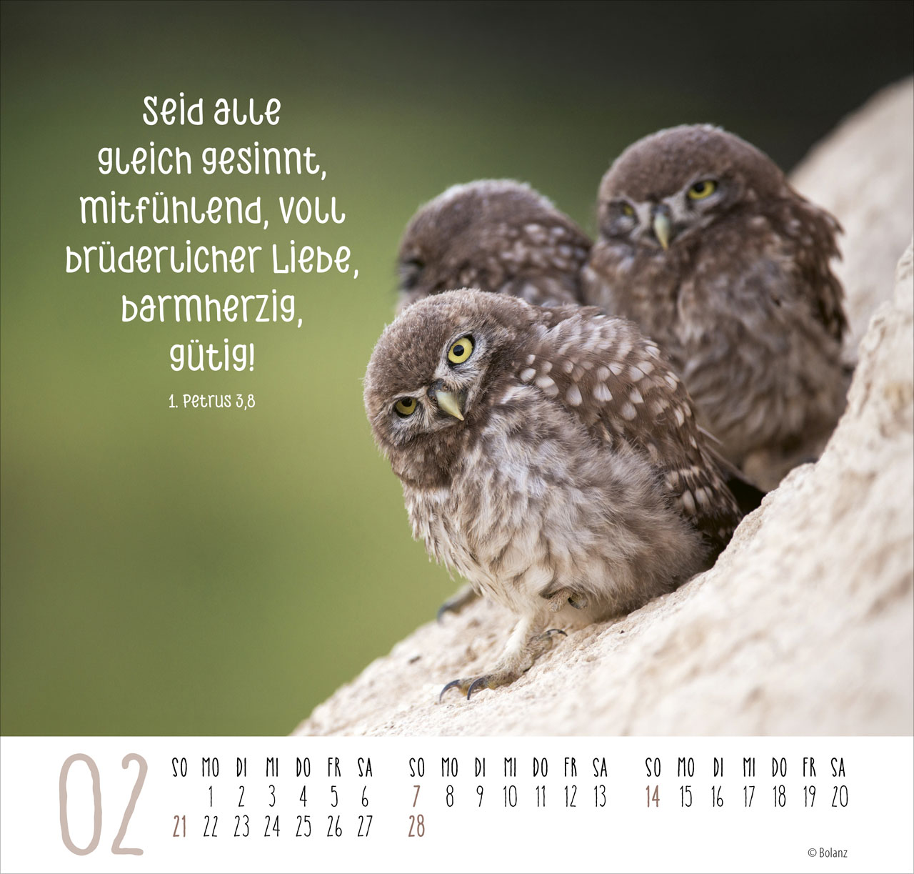 Beste Freunde – Ich mag dich 2027 – Posterkalender