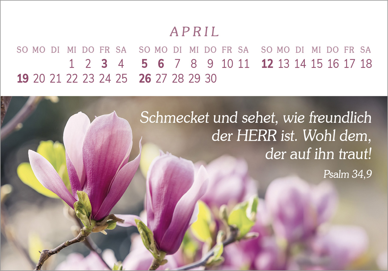 Das Geschenk der Freude 2026