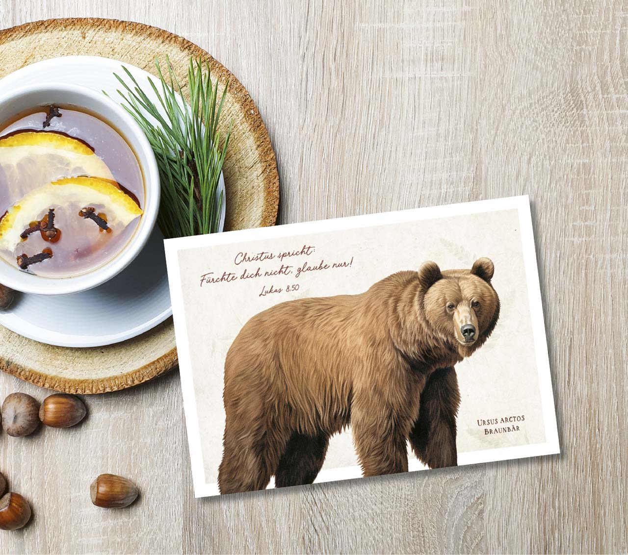 Postkarte Braunbär -  (14,8 x 10,5 cm)