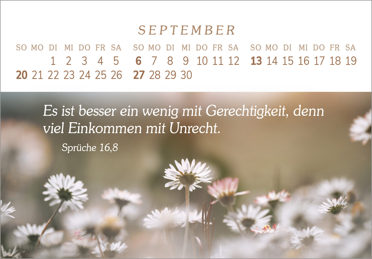 Das Geschenk der Freude 2026