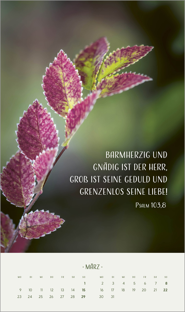 Zarte Blumengrüße Wandkalender 2026