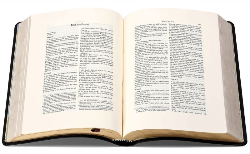 Schlachter 2000 Bibel – Schreibrandausgabe (flexibler Leder-Umschlag, schwarz) -  - Softcover - Leder 5. Auflage (17,2 x 24 x 3,2 cm)