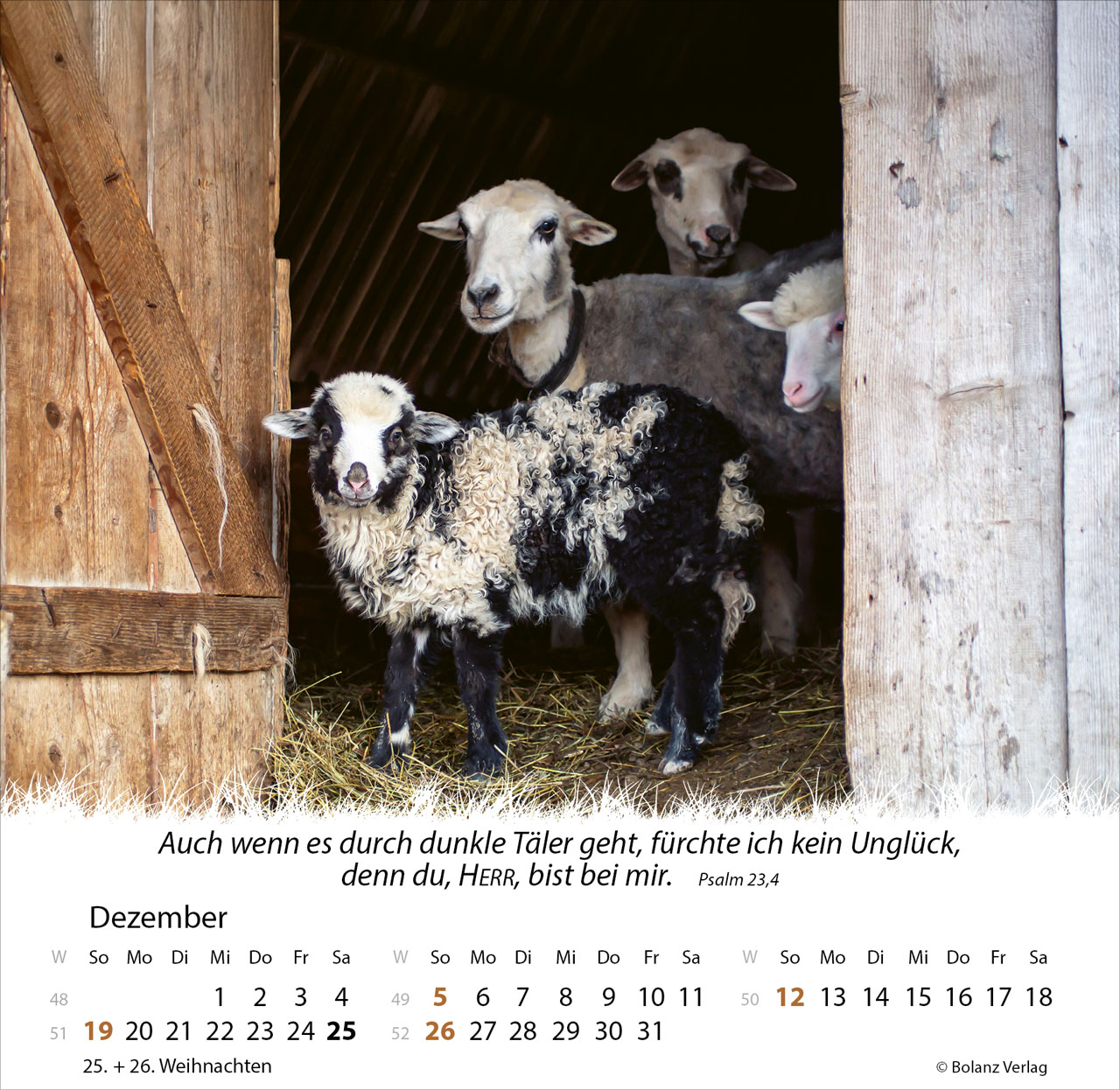 Ein Leben für die Schafe 2027 – Tischkalender