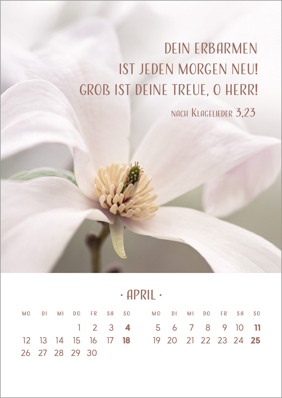 Zarte Blumengrüße 2027 – Tischkalender mit Holzaufsteller