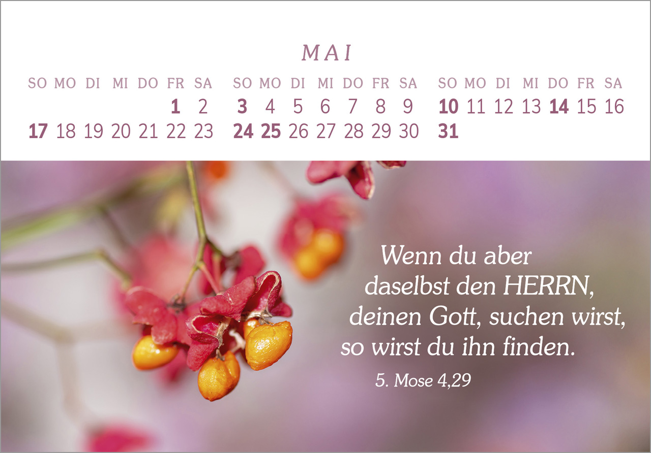 Das Geschenk der Freude 2026