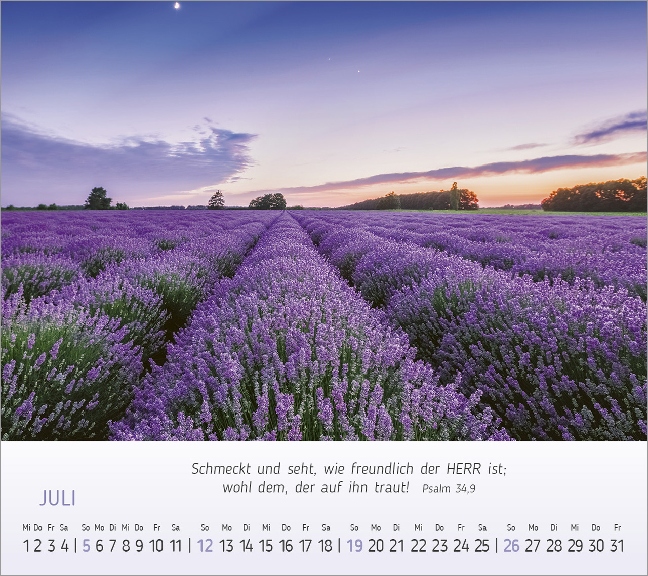 Foto-Träume - Tischkalender 2026
