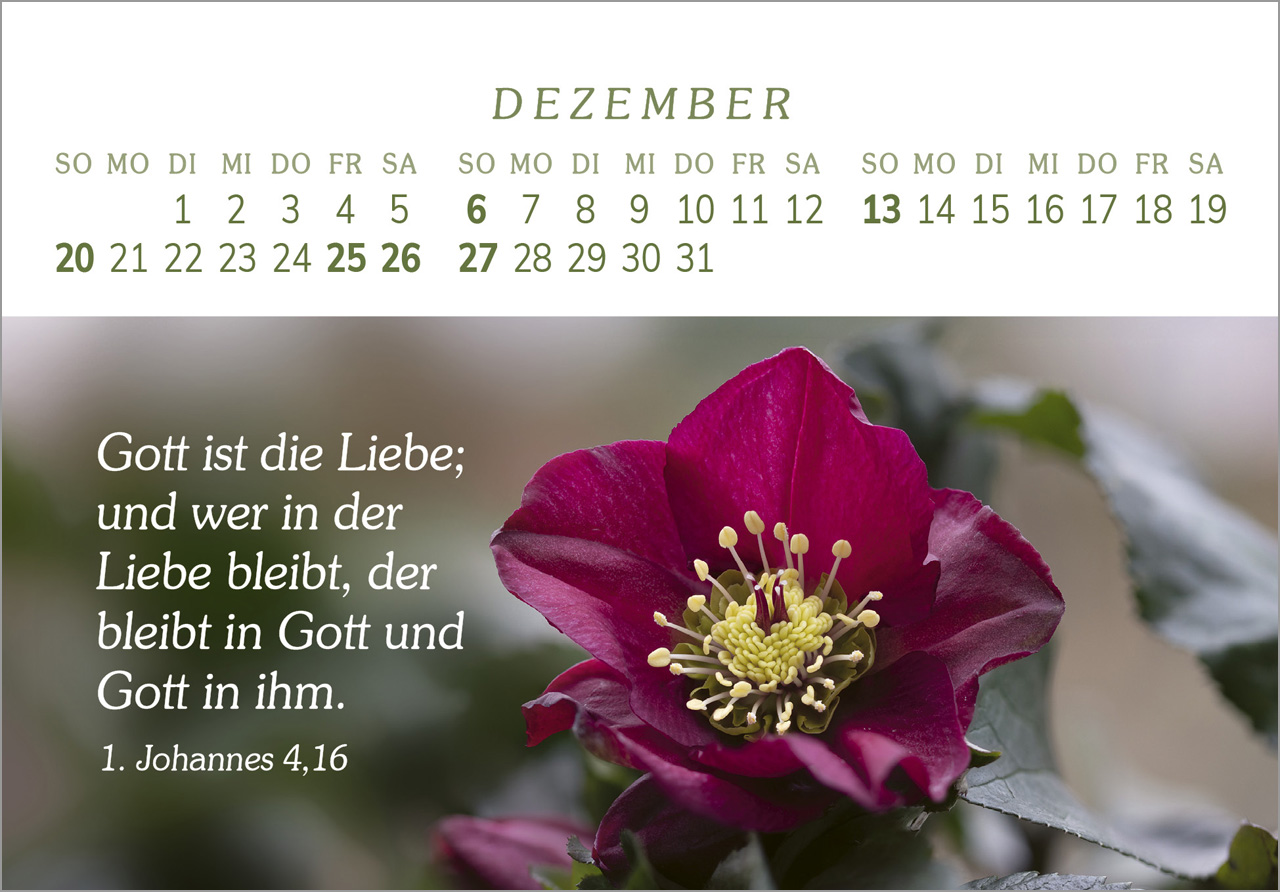 Das Geschenk der Freude 2026