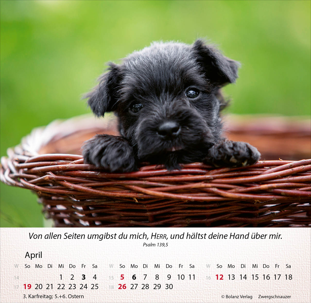 Hunde 2026 - Tischkalender