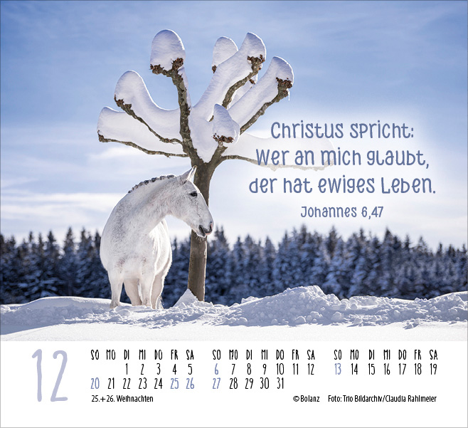 Pferde - elegante Schönheiten - Minikalender 2026