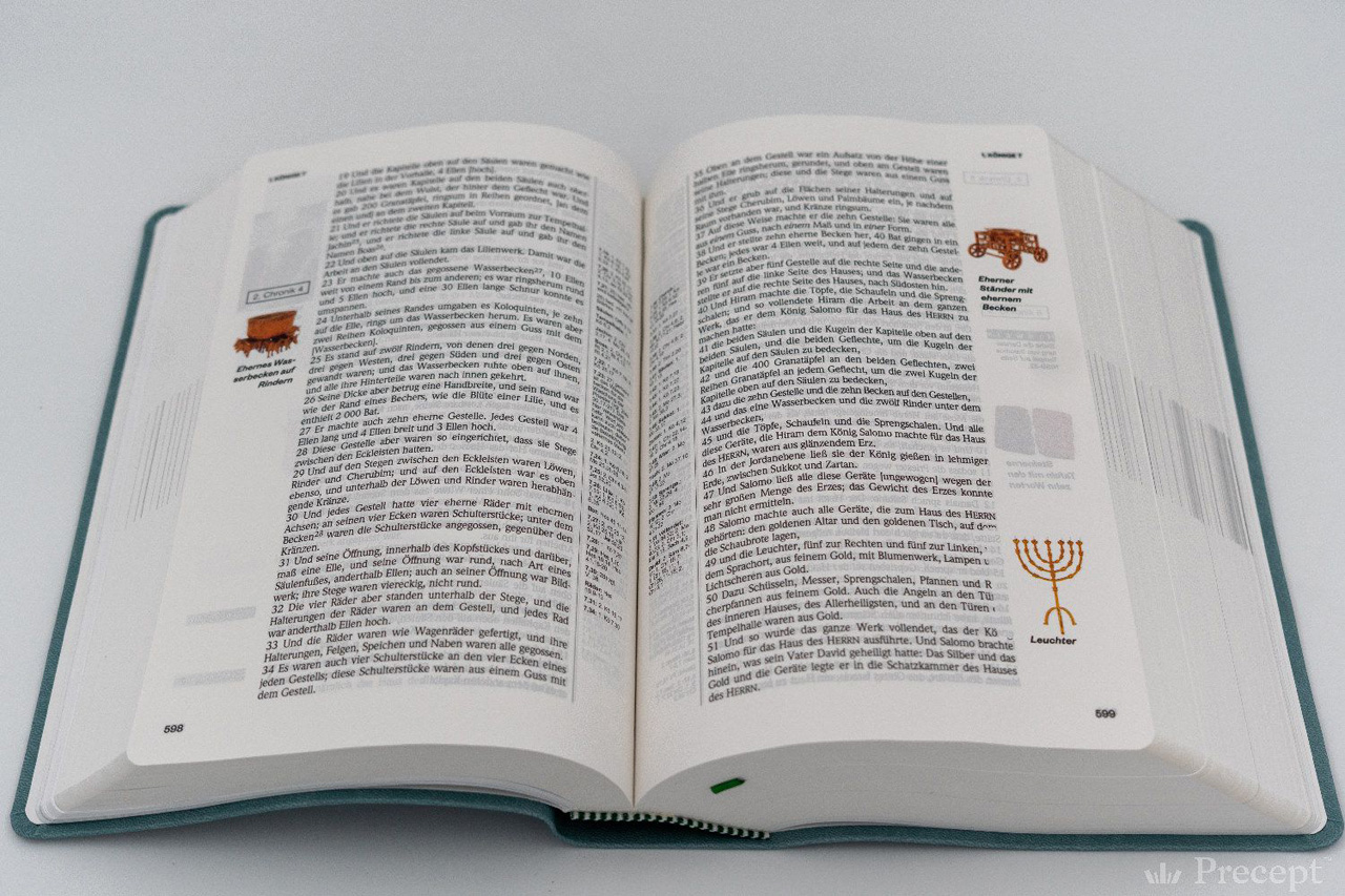 Die Neue Induktive Studienbibel - Schlachter