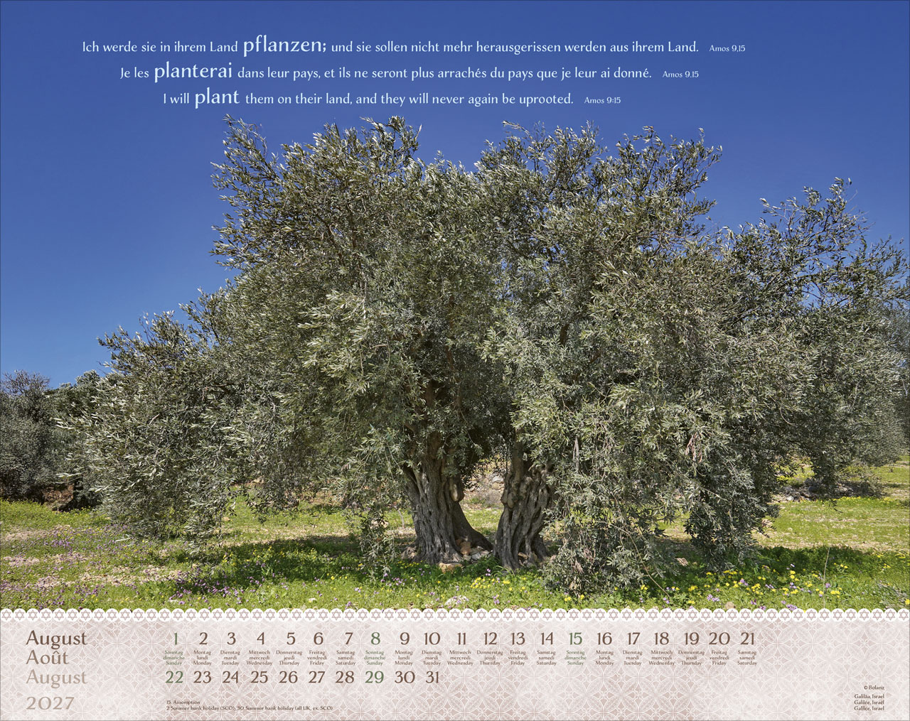 Israel Shalom 2027 – Super-Wandkalender