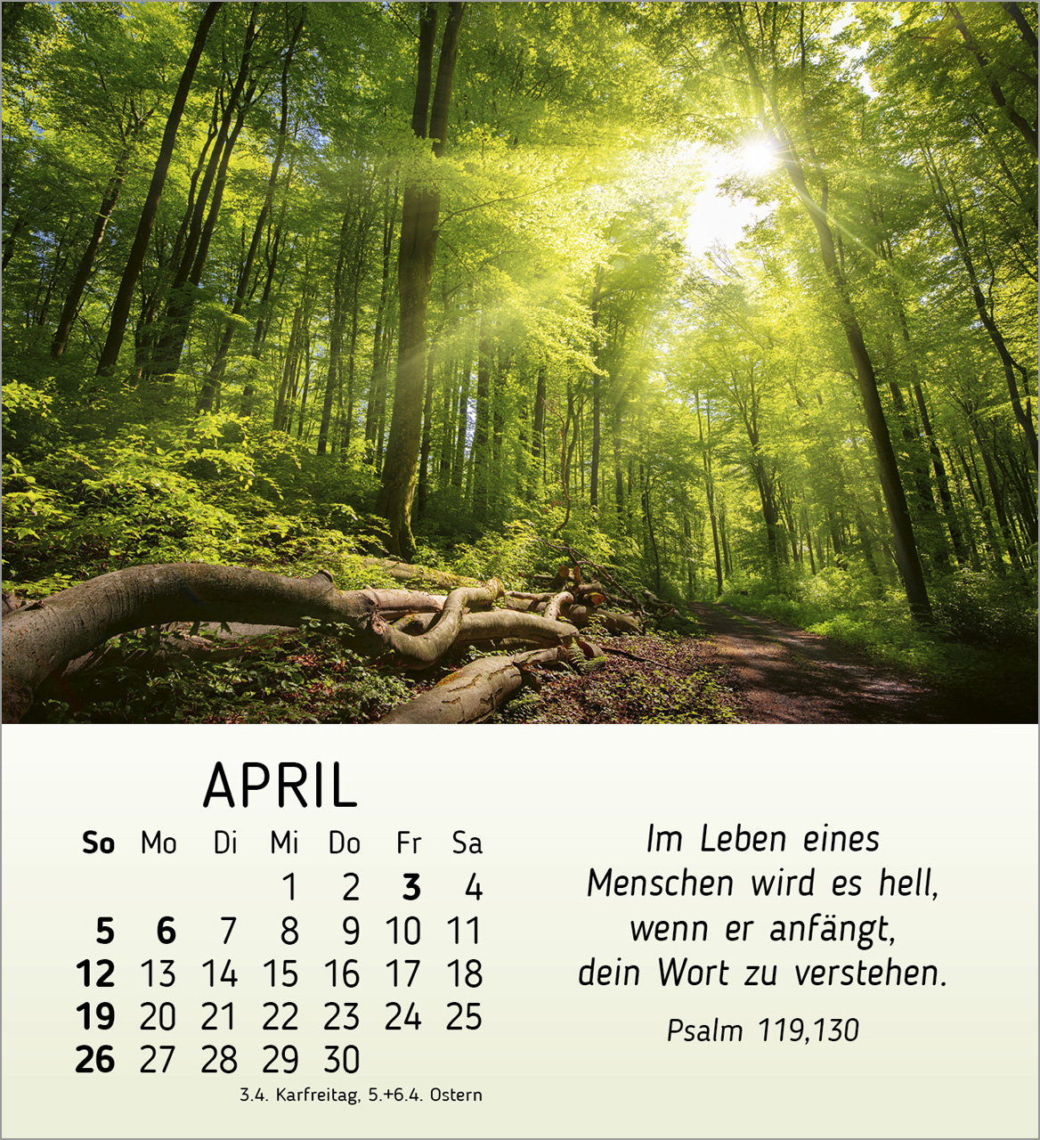 Schöheit des Lichts Tischkalender 2026