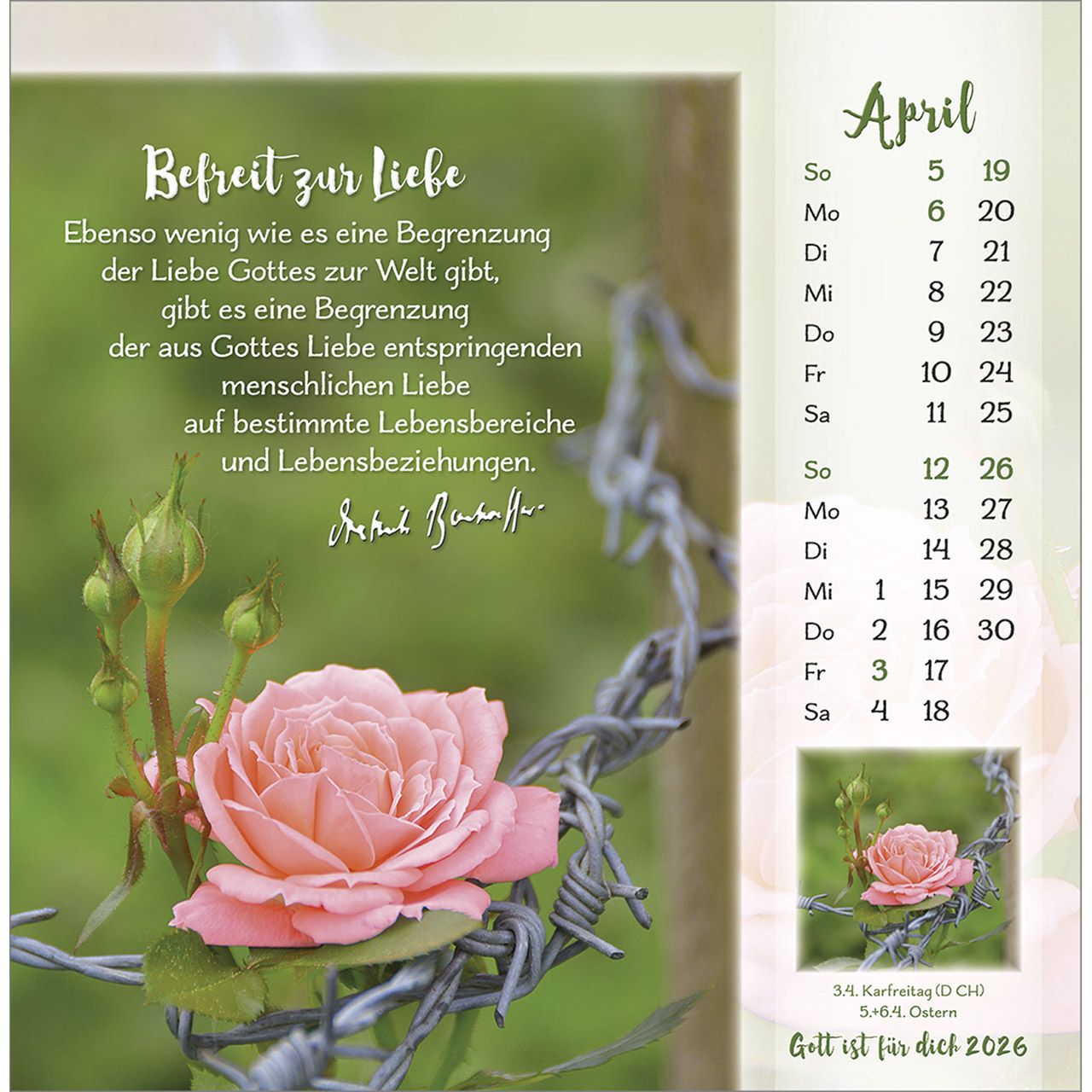 Gott ist für dich 2026 -  Autor: Dietrich Bonhoeffer (16 x 16 cm)
