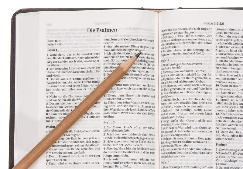 Schlachter 2000 Bibel – Miniaturausgabe (Hardcover, illustrierter Einband, Antikleder-Optik) -  - Hardcover 3. Auflage (9,9 x 14,8 x 3,2 cm)