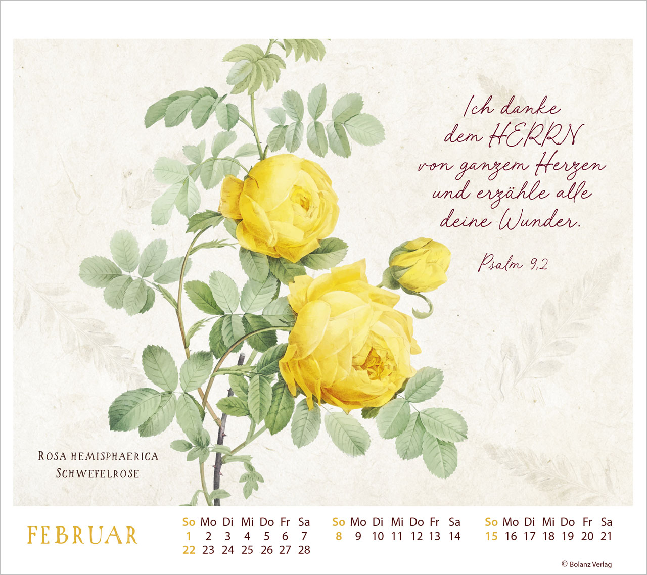 MeisterWerke des Schöpfers 2026 - Tischkalender