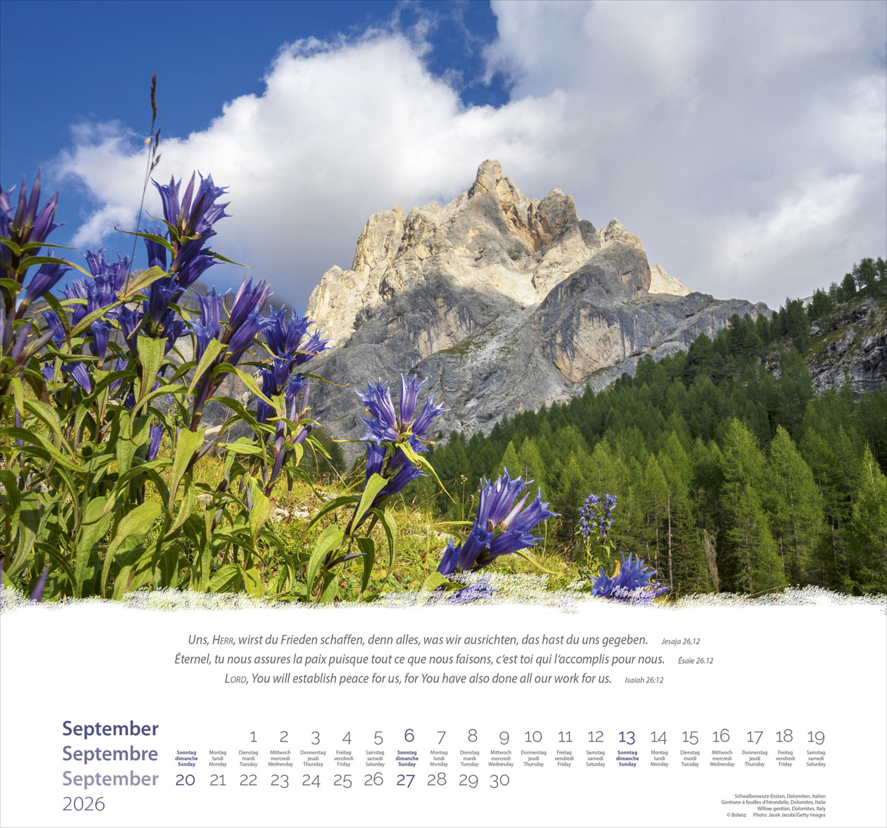 Berge-Montagnes-Mountains 2026 - Wandkalender Berge-Montagnes-Mountains 2026 - Wandkalender