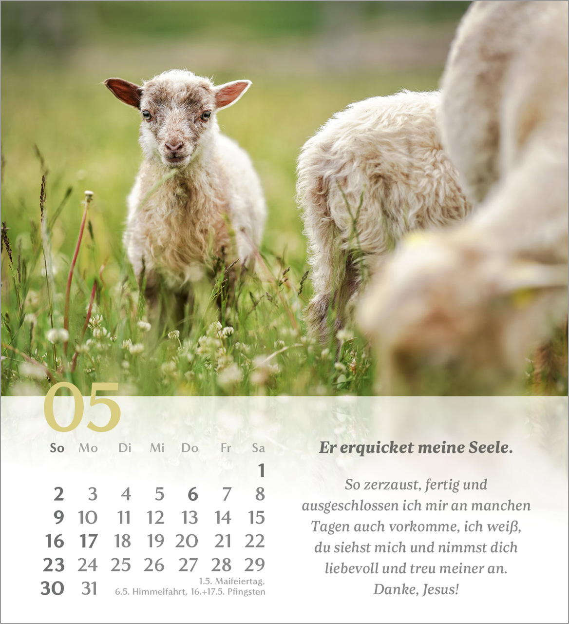 Psalm 23 – 2027 – Tischkalender
