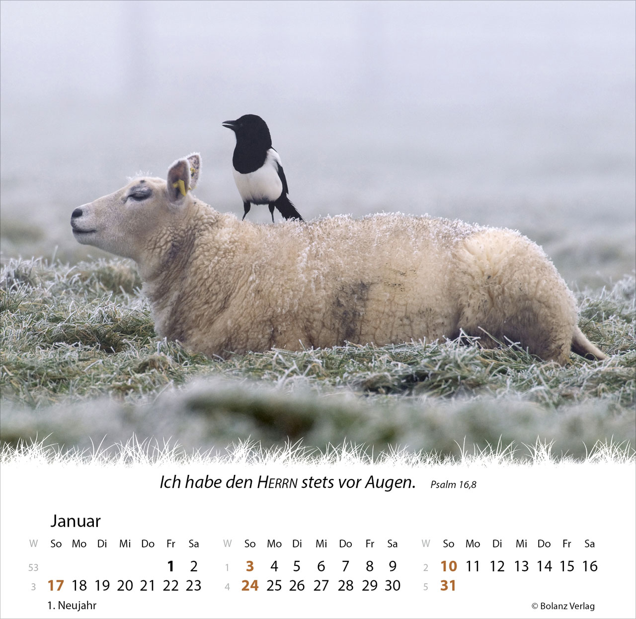 Ein Leben für die Schafe 2027 – Tischkalender
