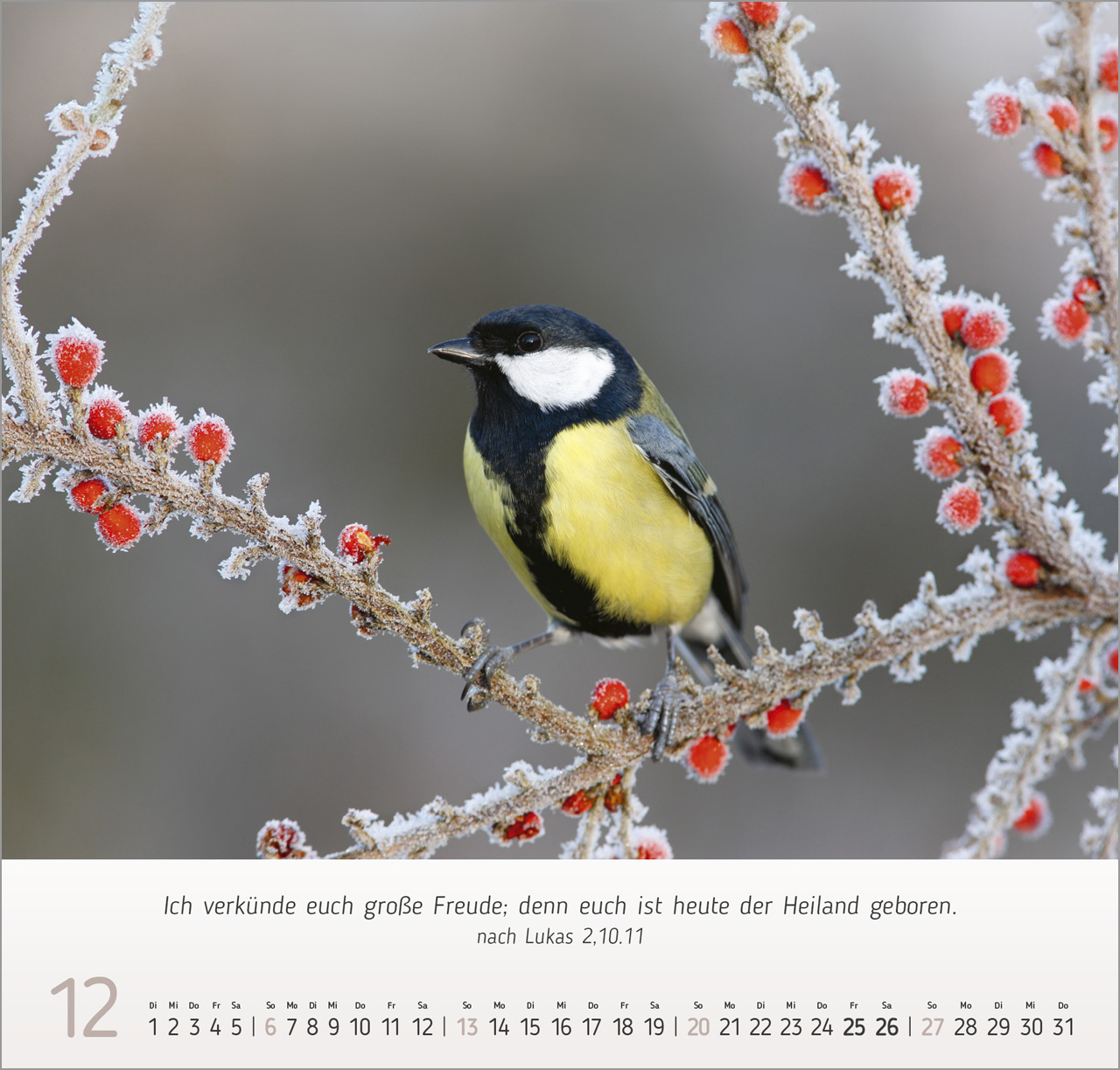 Gesichter der Natur Wandkalender 2026