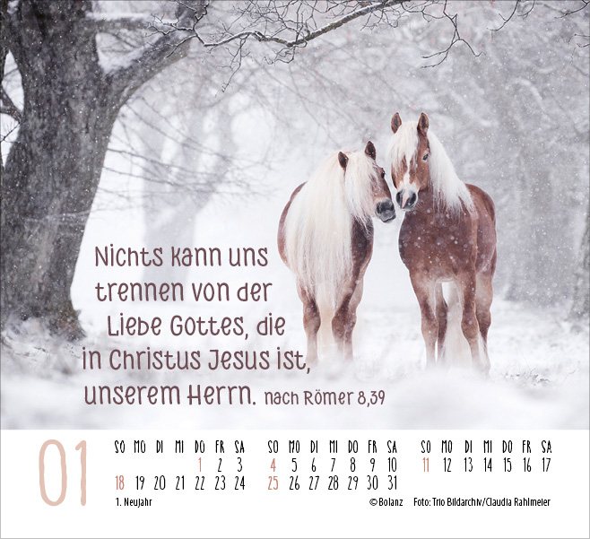 Pferde - elegante Schönheiten - Minikalender 2026