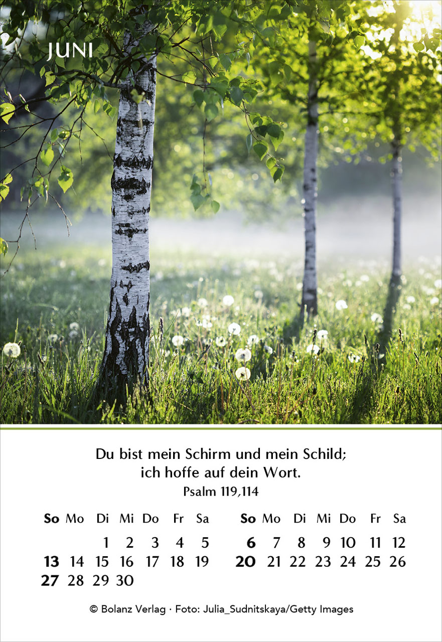 Ein Jahr der Hoffnung 2027 – Minikalender