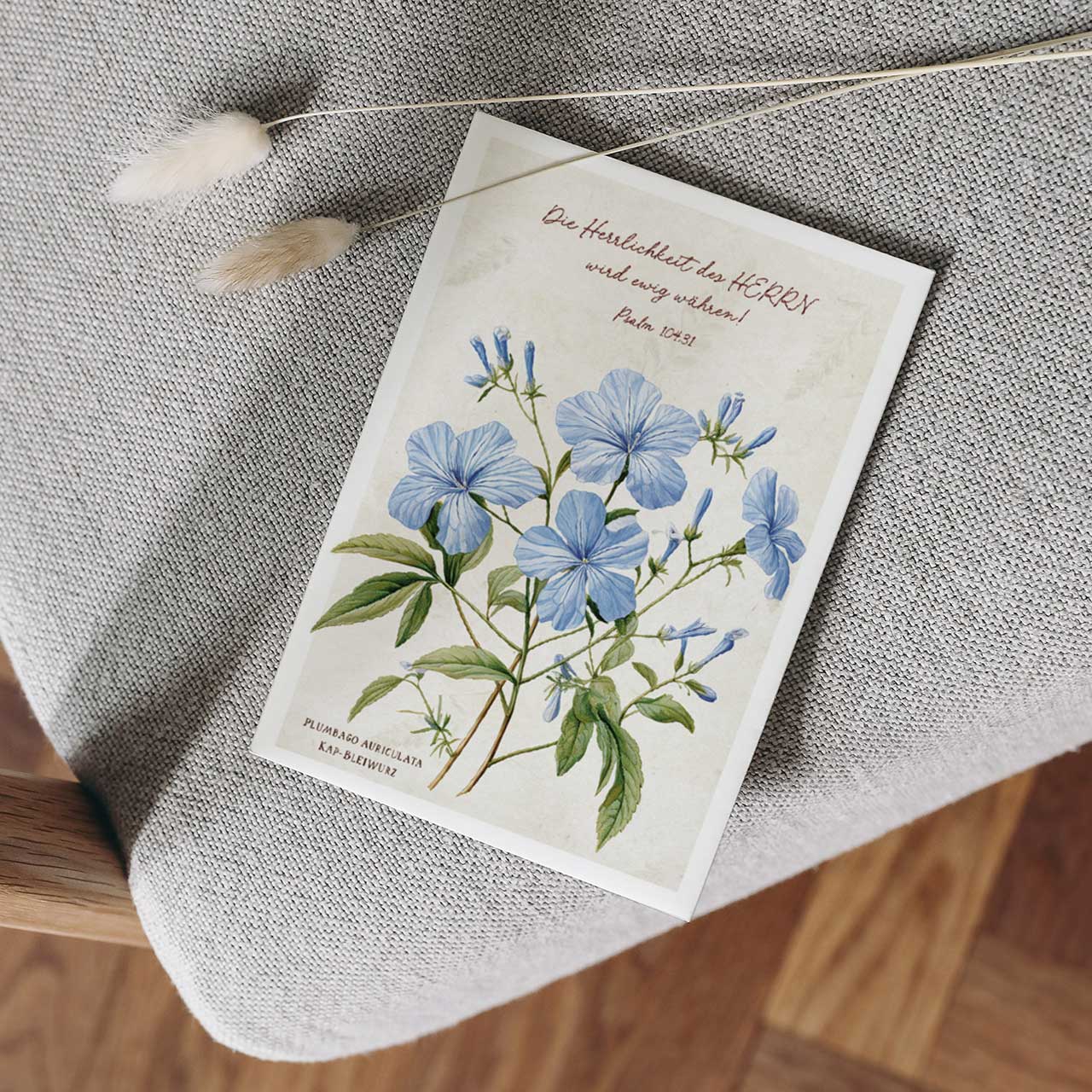 Postkarte Die Herrlichkeit des Herrn - Blume -  (10,5 x 14,8 cm)