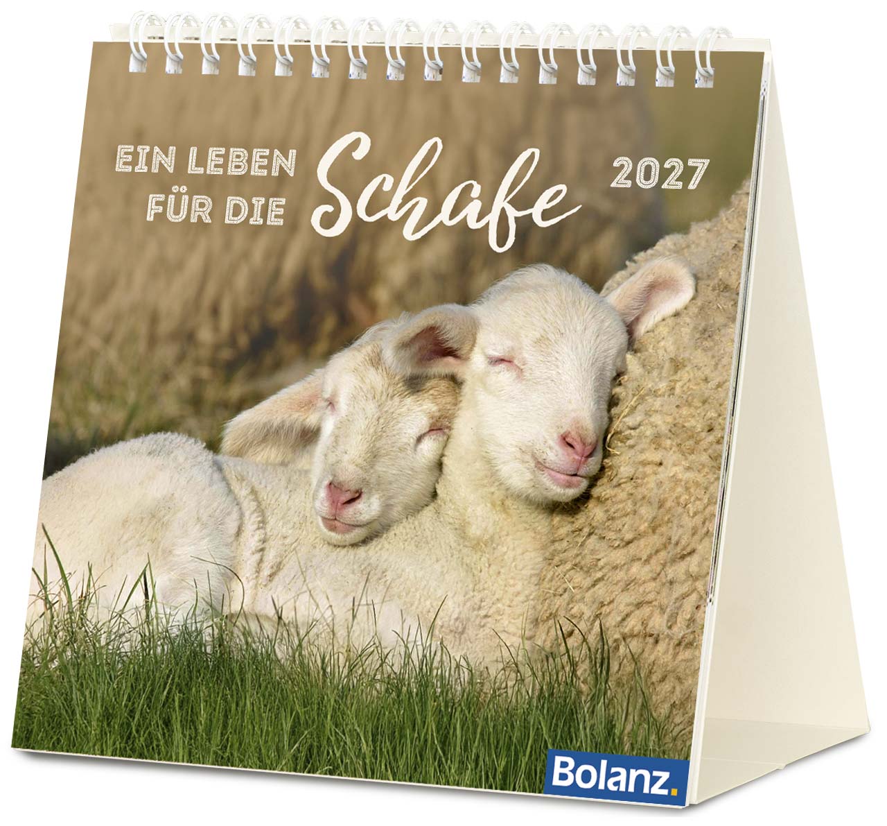 Ein Leben für die Schafe 2027 – Tischkalender