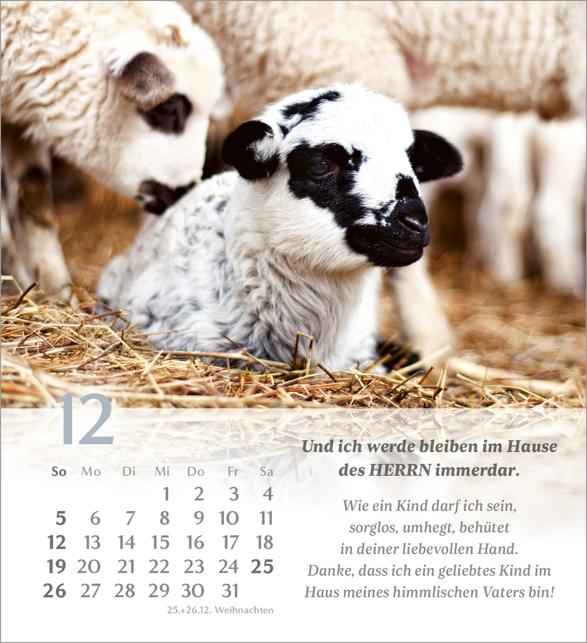 Psalm 23 – 2027 – Tischkalender