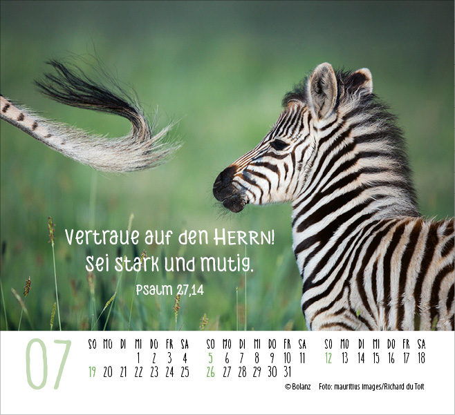 Begegnungen - Dich vergess ich nie 2026 - Minikalender