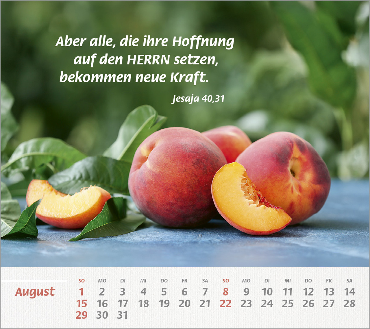 Du bist meine Stärke Großdruck 2027 -Tischkalender