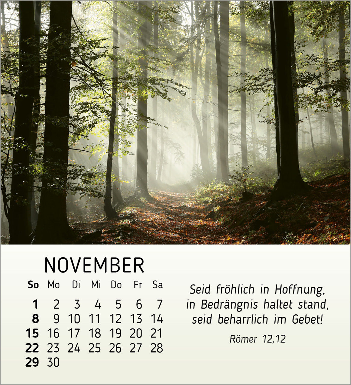 Schöheit des Lichts Tischkalender 2026