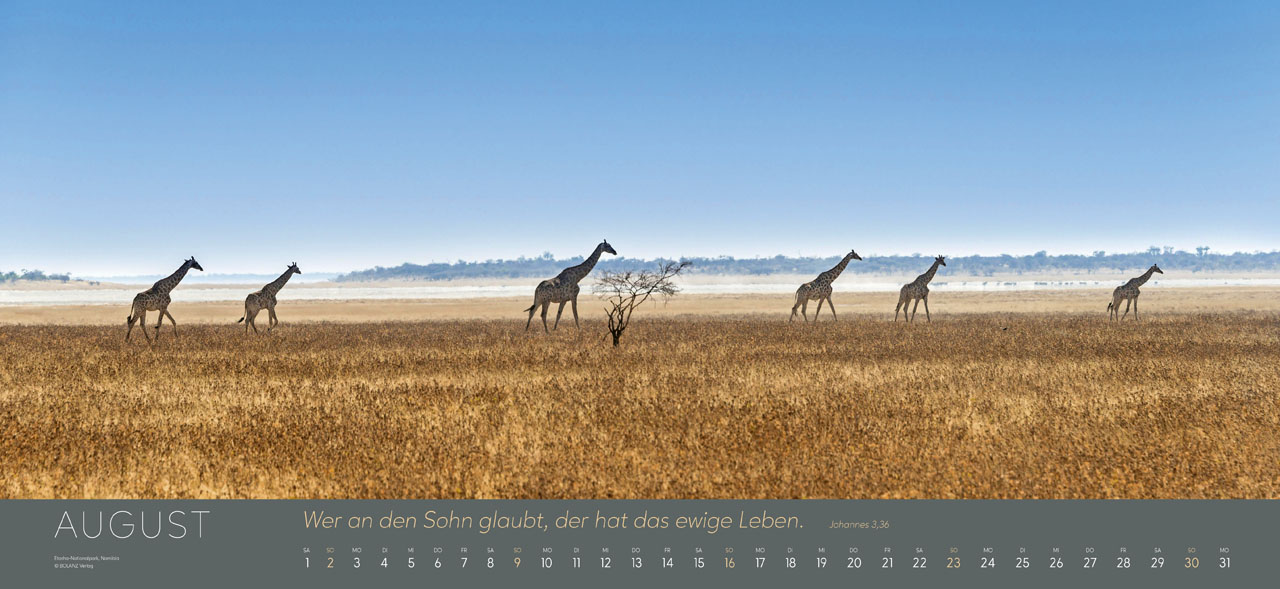 Ewigkeit im Herzen 2026 - Riesenpanoramakalender