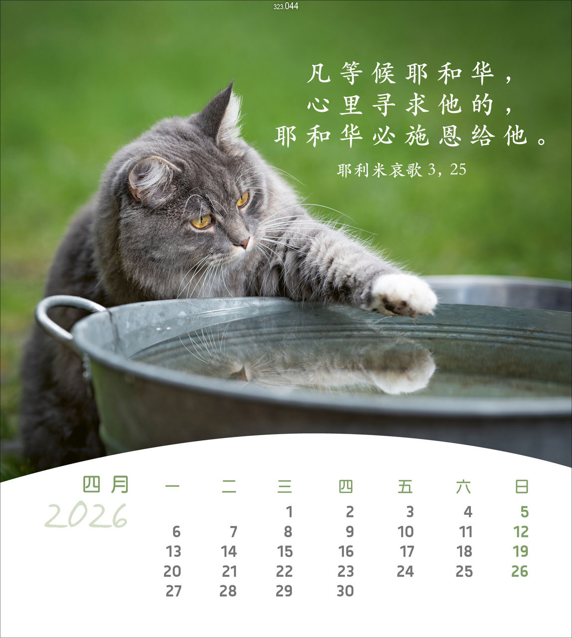 Leben für Dich - Chinesisch