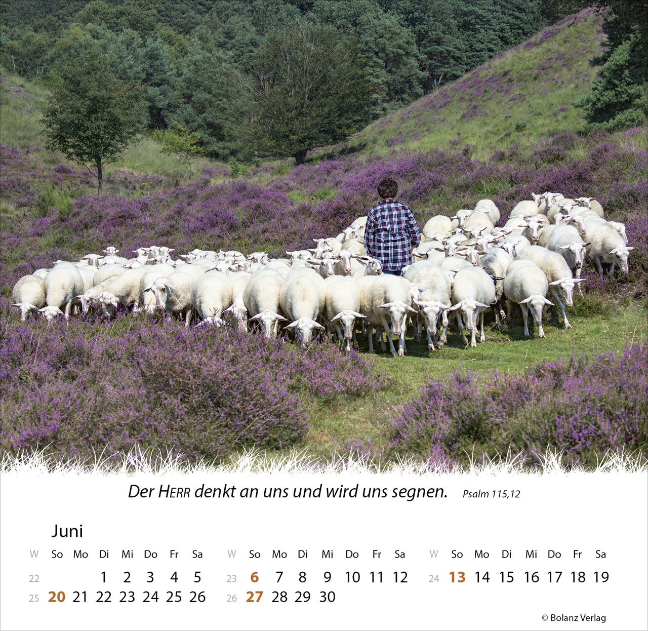 Ein Leben für die Schafe 2027 – Tischkalender