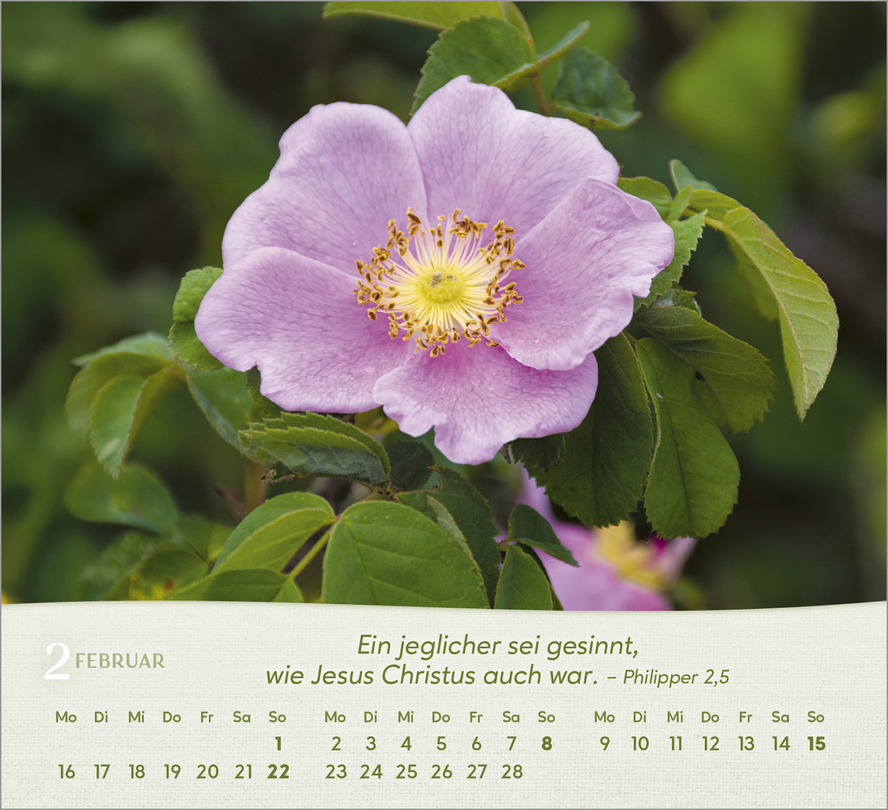 Rosen Tischkalender 2026