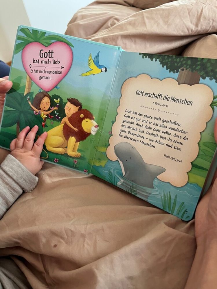 So lieb hat dich Gott - Kinderbibelgeschichten -  Autor: Cecilie Fodor - Pappbilderbuch 2. Auflage (15 x 17,4 x 1,7 cm)