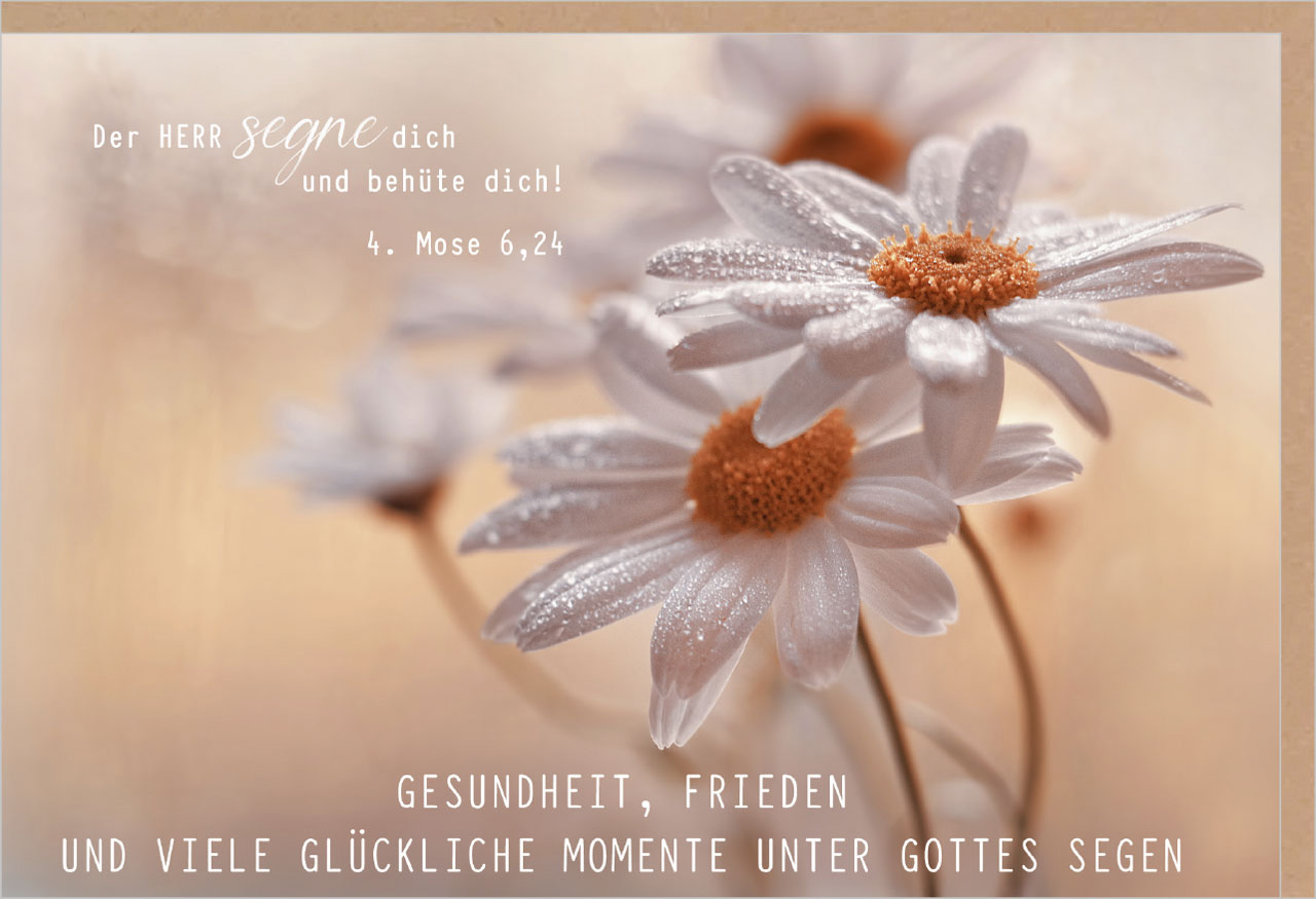 Faltkarte Geburtstag