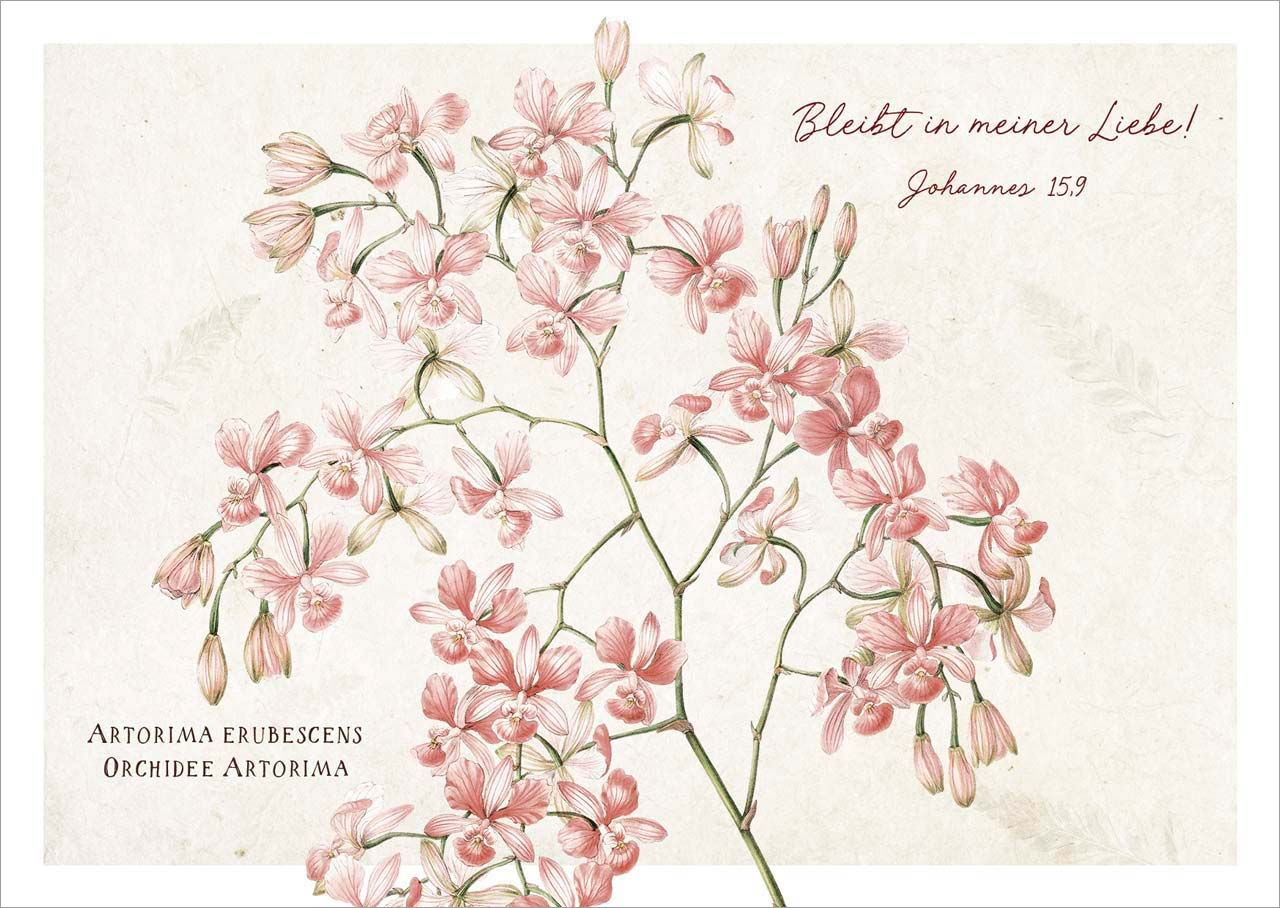 Postkarte Bleibt in meiner Liebe! -  (14,8 x 10,5 cm)